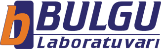 Bulgu Laboratuvarı